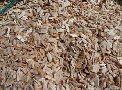 木材包装 木托盘 木材加工