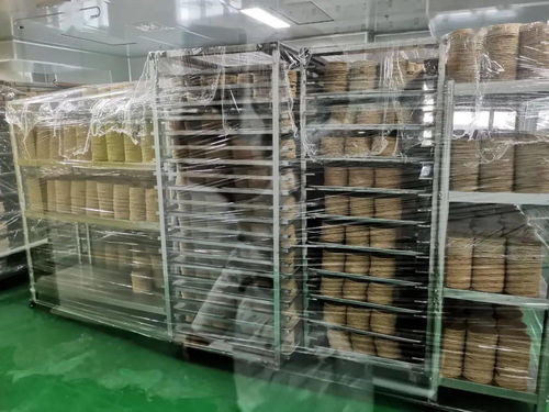 小小提拉米苏, 成就绥芬河俄式食品加工产业链